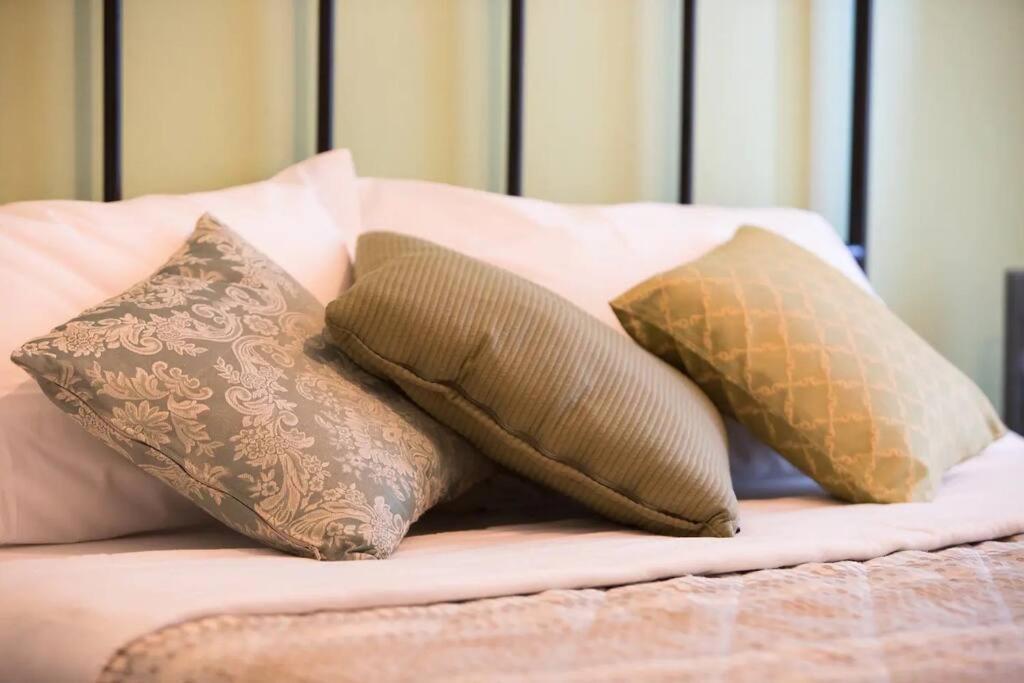 Alice'S Guest Parking & Wi-Fi Apartment Pisa Bagian luar foto