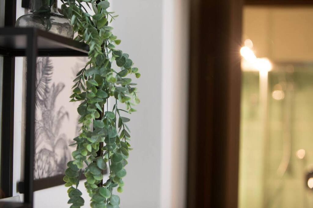 Alice'S Guest Parking & Wi-Fi Apartment Pisa Bagian luar foto